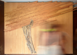 Wooden tree - Museo dell'Olio della Sabina - Maria Lai | Photo by Alessandro Nanni